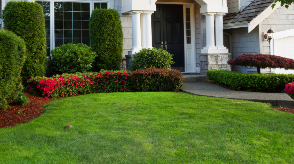 Sod Installation Company in Overland Park