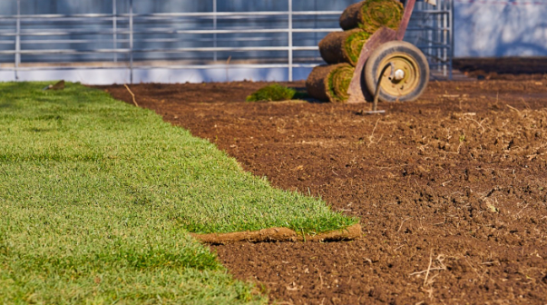 Commercial Lawn Care Services in Overland Park