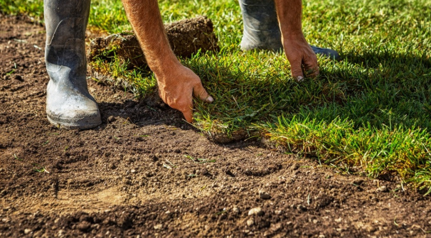 Sod Replacement in Olathe