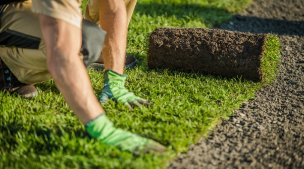 Sod Replacement in Overland Park