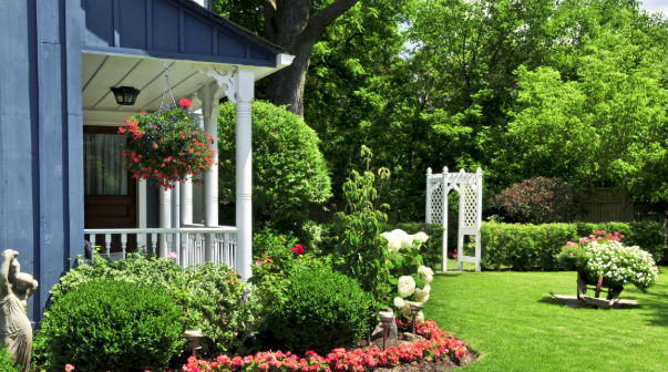 Sod Installation Company in Olathe
