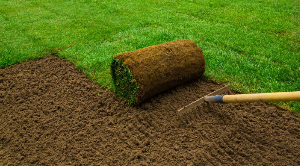 Commercial Sod Installers in Overland Park