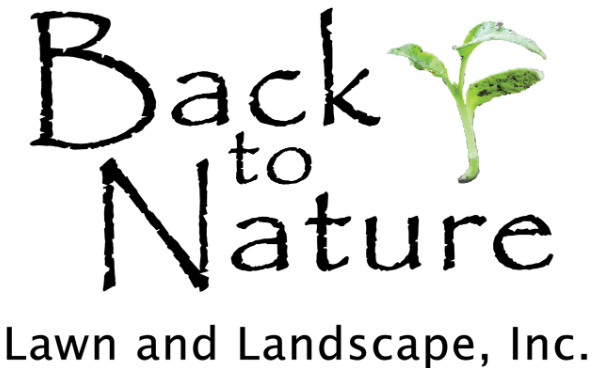 Commercial Sod Installers in Overland Park