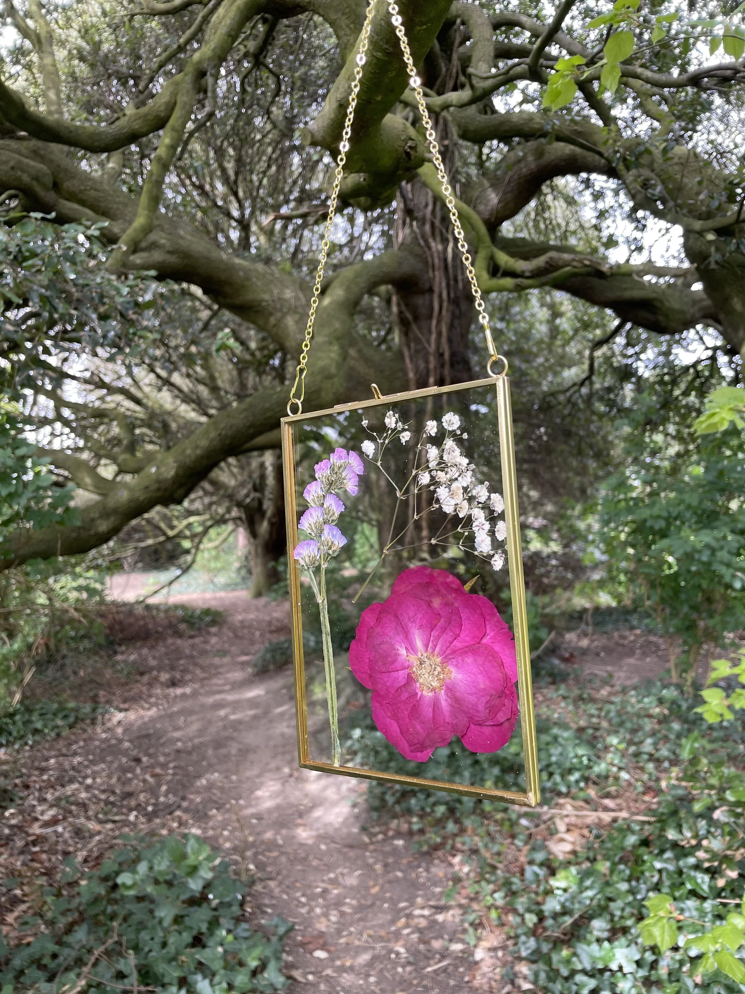 A hanging glass frame containing pressed flowers, including a large pink flower and smaller white and purple flowers, suspended from a tree branch in a wooded area.
