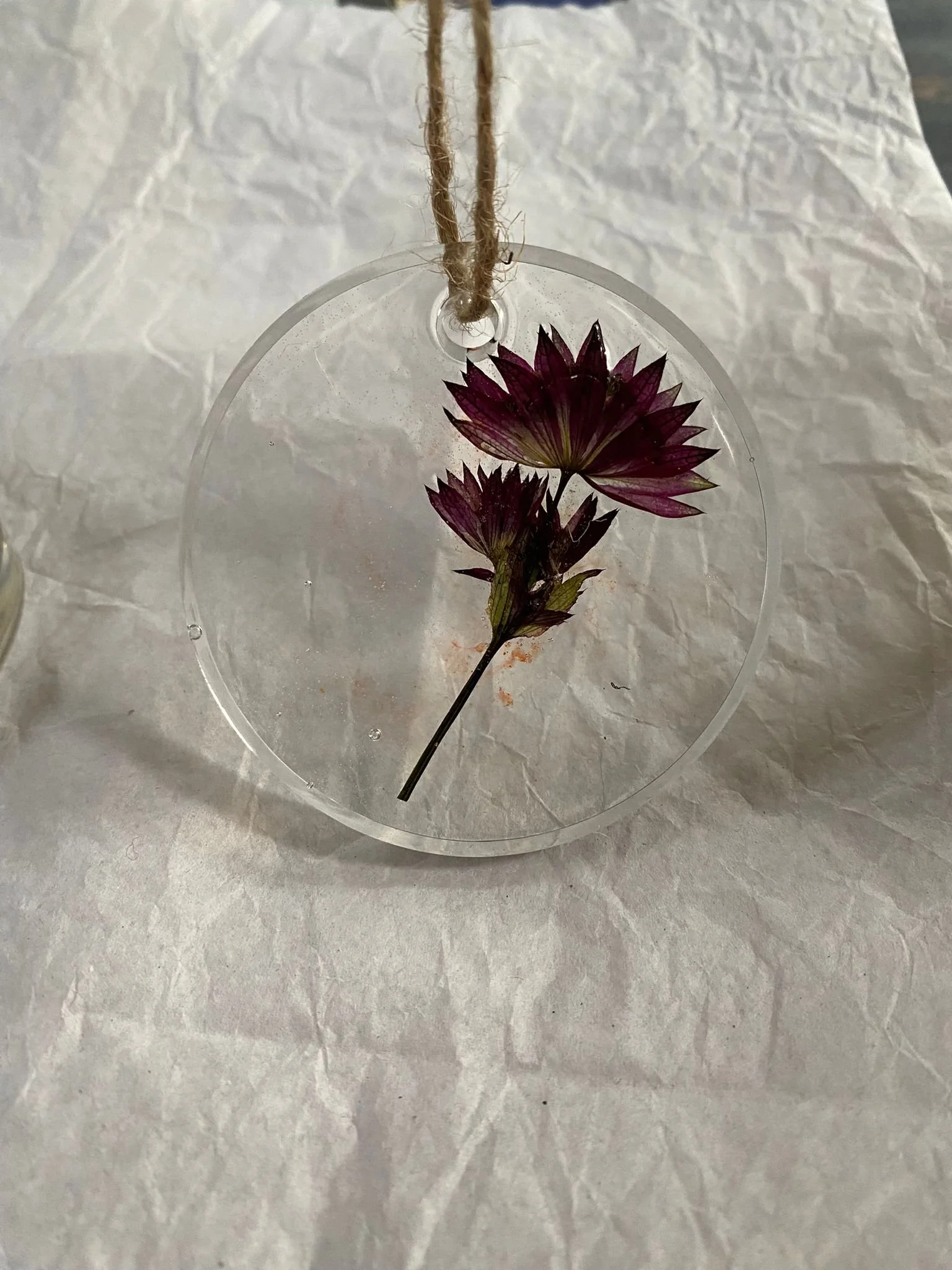 A transparent circular ornament hanging by a jute string, containing a dried purple flower with multiple petals.