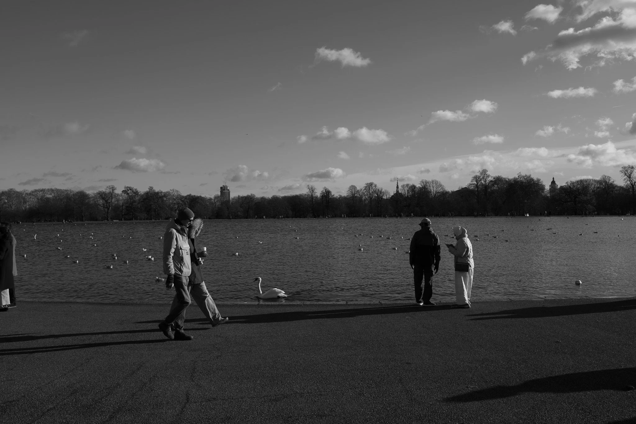 November Day in Kensington Gardens, 2025