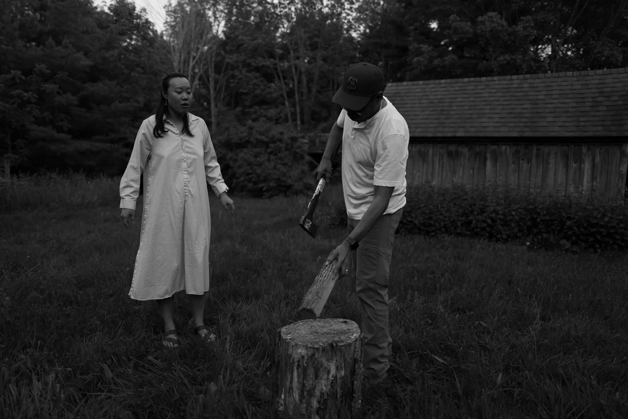 How to Split Wood, 2023