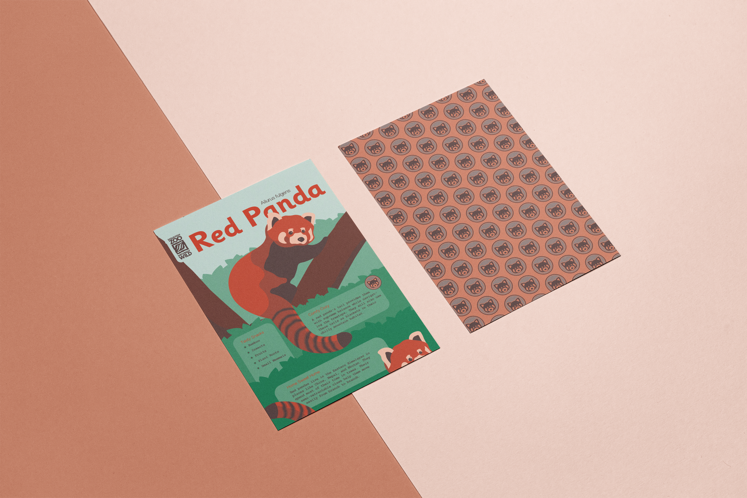 A6_Flyer_Mockup.png