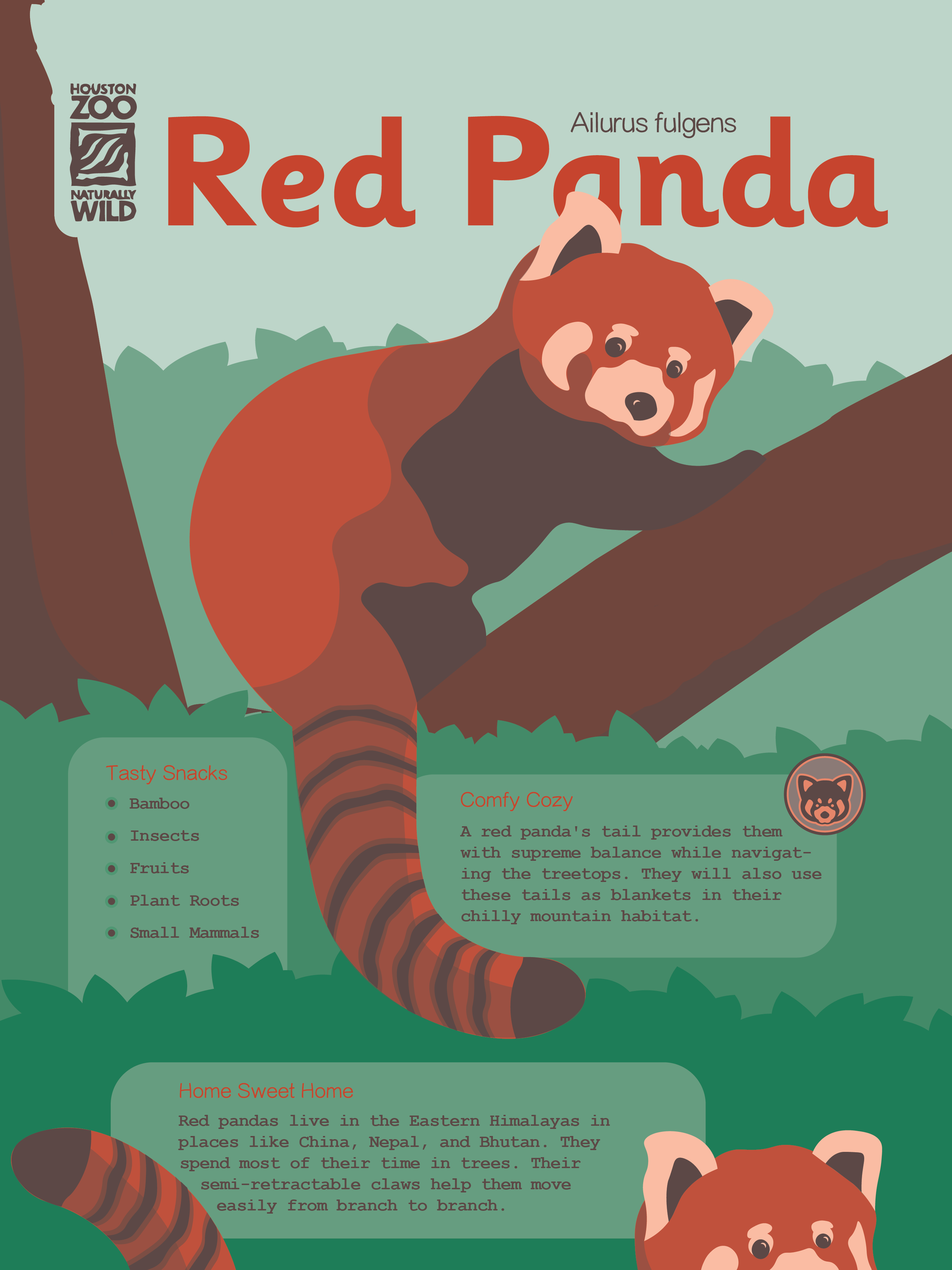 RedPandaThing-01.png