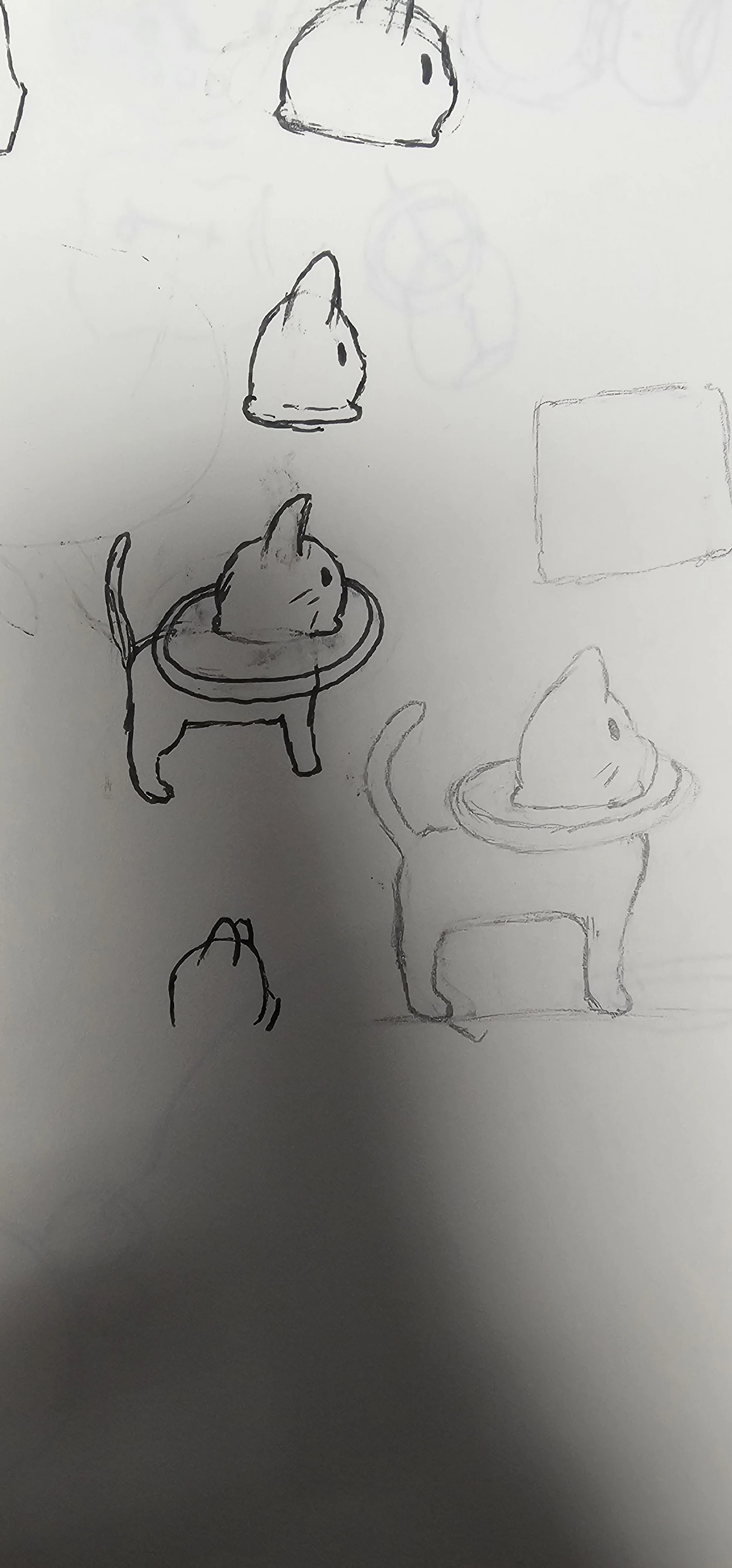 20250429_081952 copy.jpg