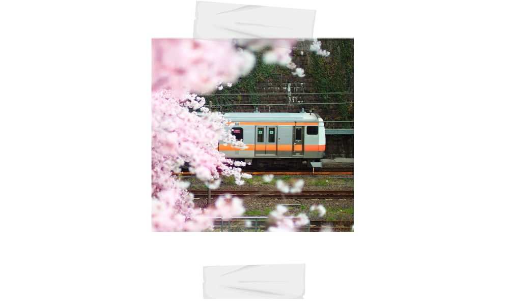 The Over-Thinker’s Guide to Navigating Tokyo Transit