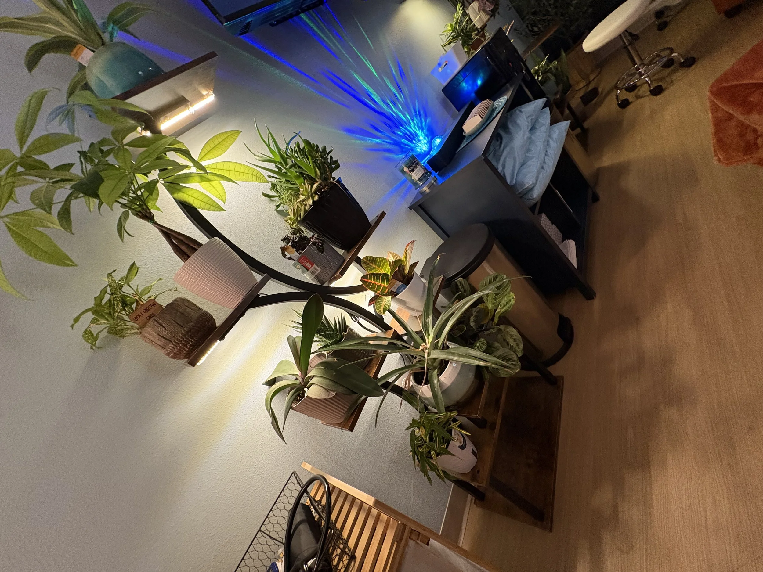 Living room corner with several potted plants and decorative items on shelves, a glowing light show on the wall, and a table with a bowl and a small container.