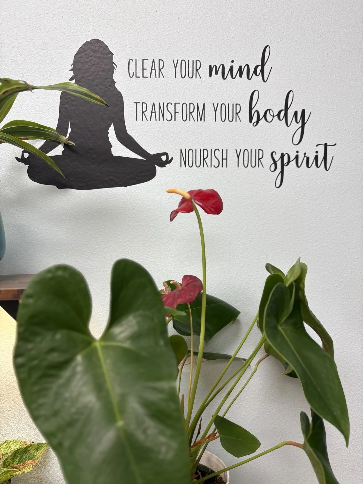 Potted plant with green leaves and red flowers in front of a wall with a quote about mindfulness.