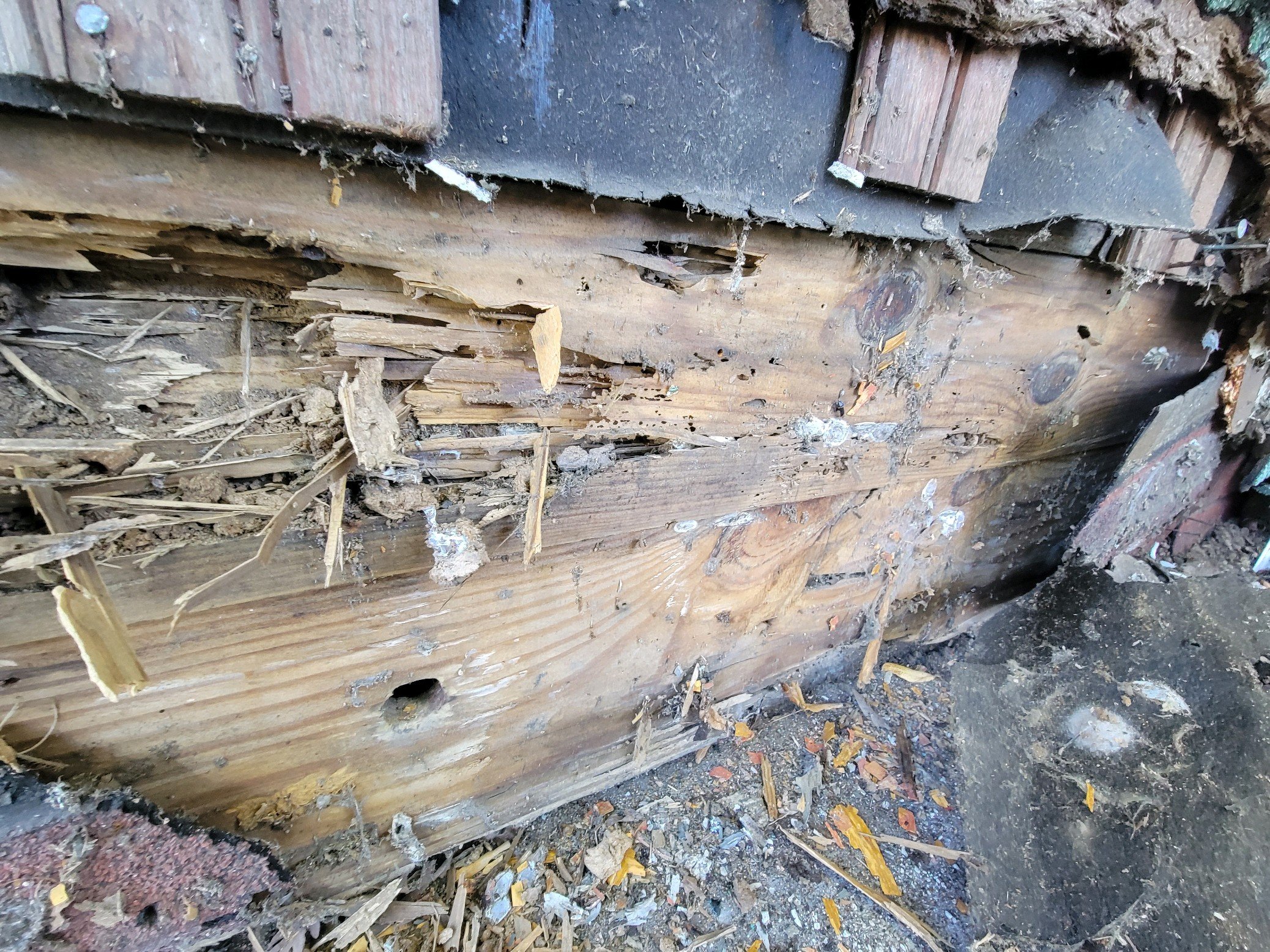 The rotted foundation.