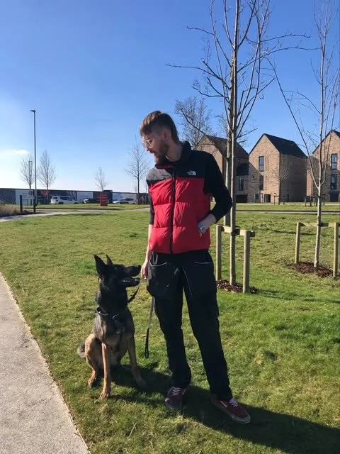 A man with a beard in a red and black jacket walking a Belgian Malinois dog on a leash in a park with green grass and leafless trees.