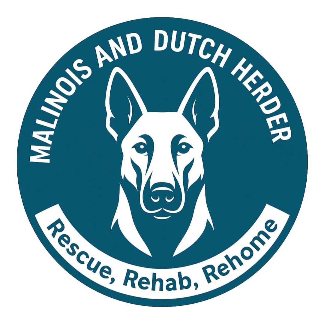 Logo for MAAHLINOIS AND DUTCH HERDER Rescue, Rehab, Rehome featuring a Dutch Shepherd's face in the center surrounded by the organization's name and the tagline 'Rescue, Rehab, Rehome.'