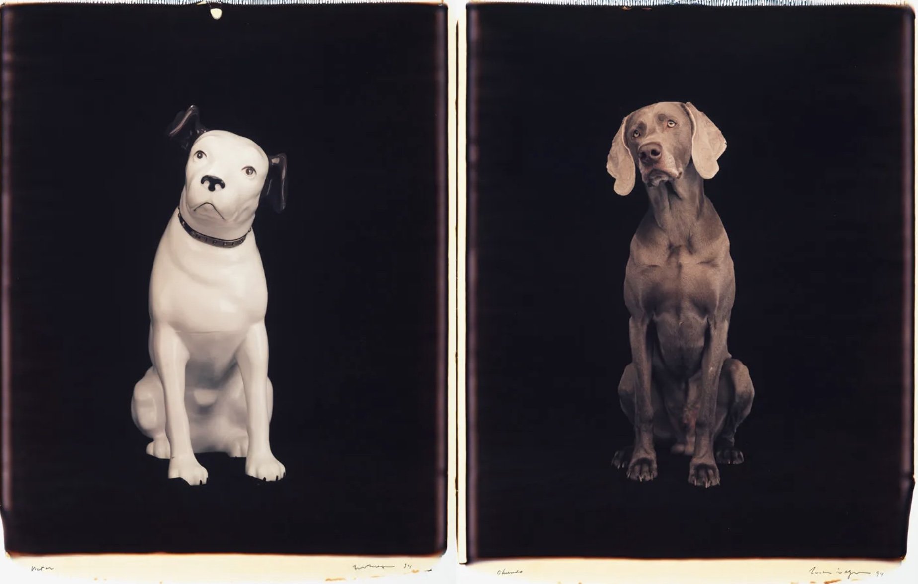 William Wegman, Victor Chundo