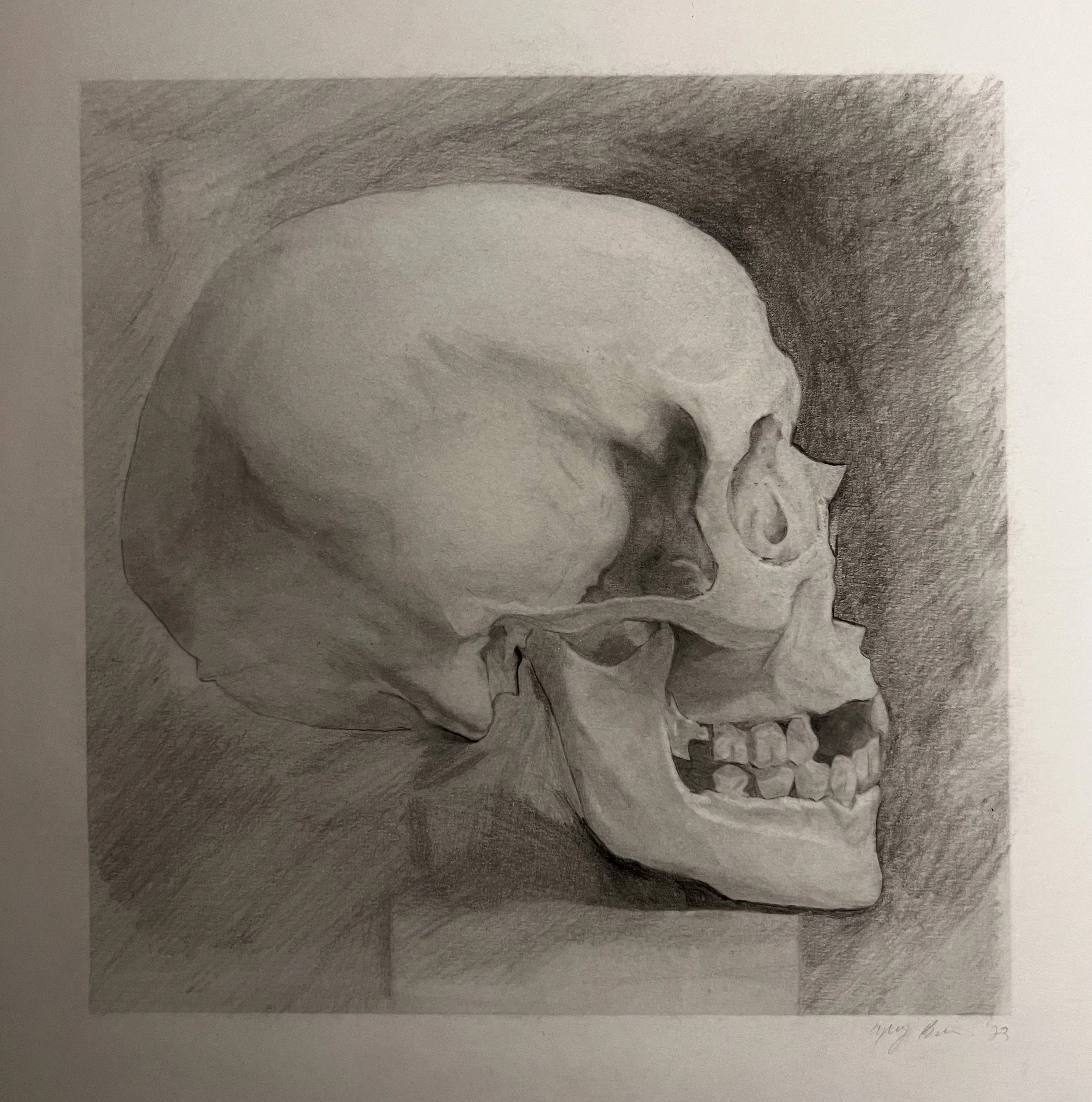Skull_Drawing_ARTS230 (1).jpg