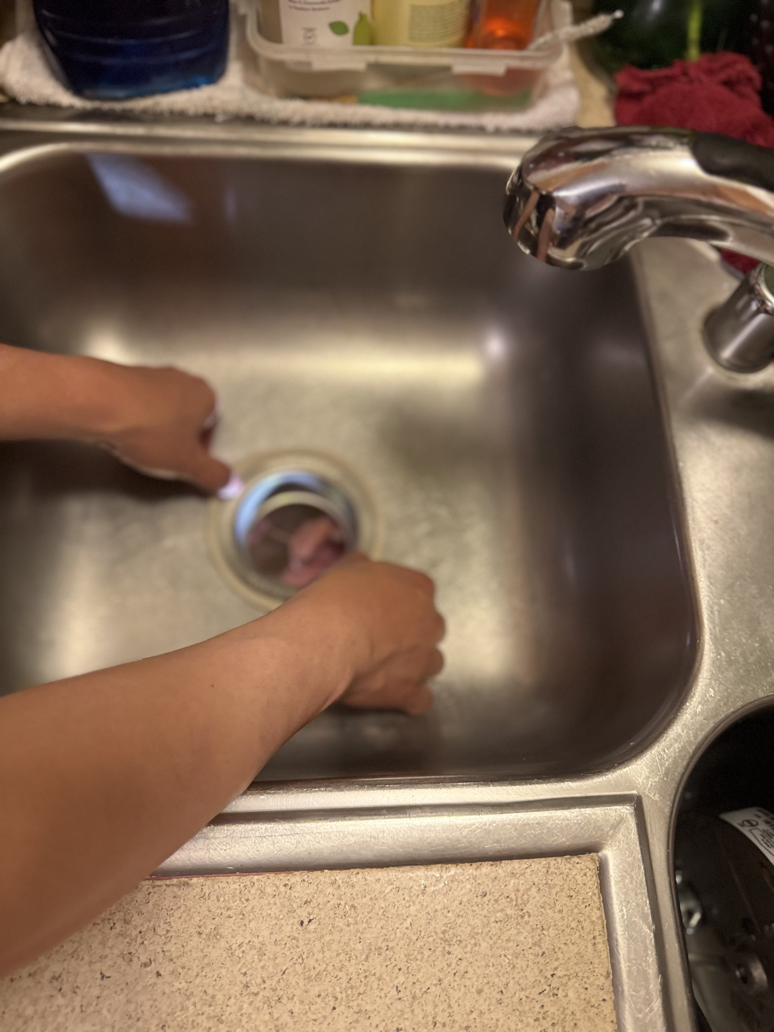 Installation of New Garbage Disposal
