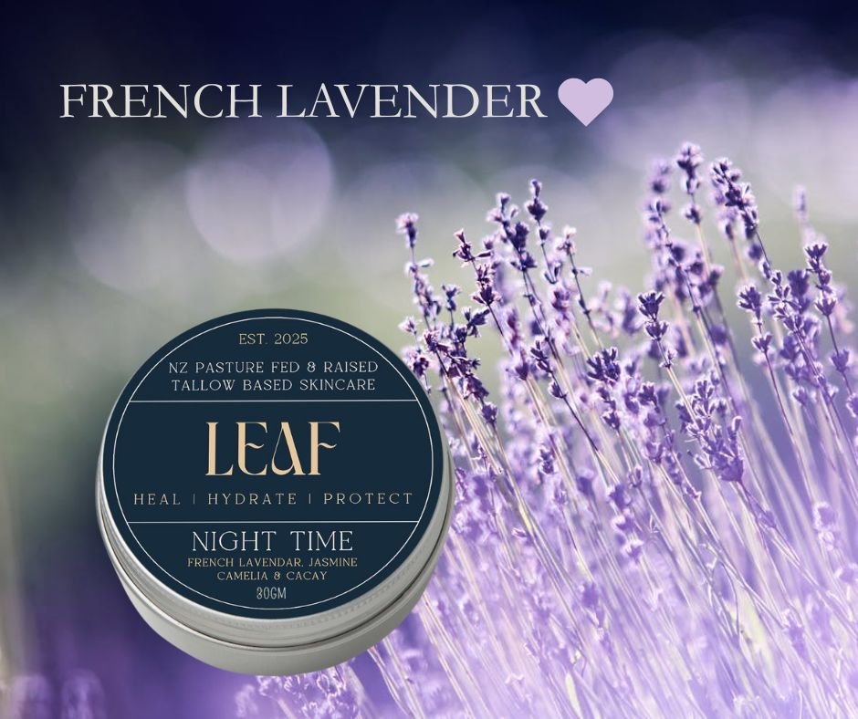 As the day winds down, your skin deserves a little restoration too 💜

Our Leaf tallow-cased Night-Time Salve is carefully crafted to nourish and calm your skin while you sleep. One of the key ingredients we love is the French Lavender Essential Oil 