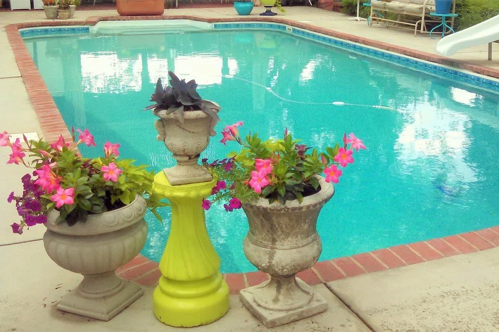 Outdoor backyard pool with surrounding brick border, plants in decorative pots with pink flowers in the foreground, and patio furniture in the background.