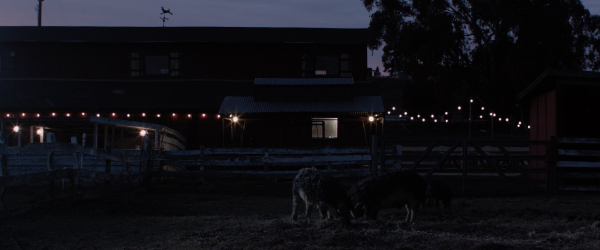 SILENCE YOUR PHONES - SHORT FILM