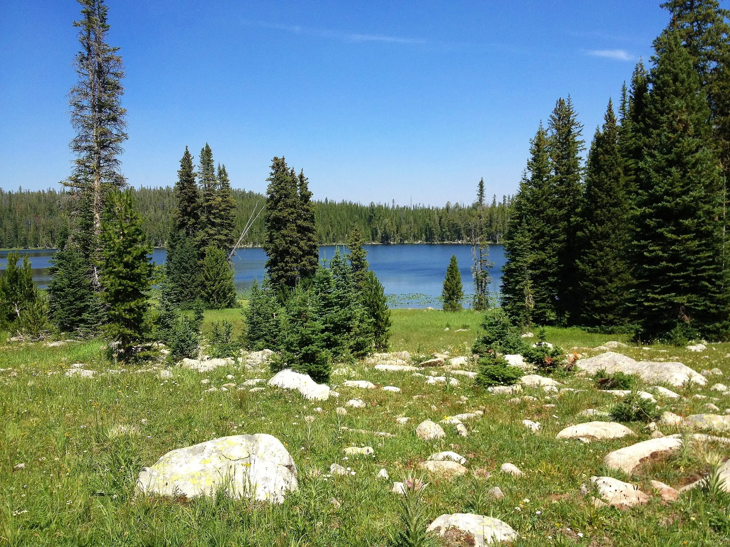 Emerald Lake