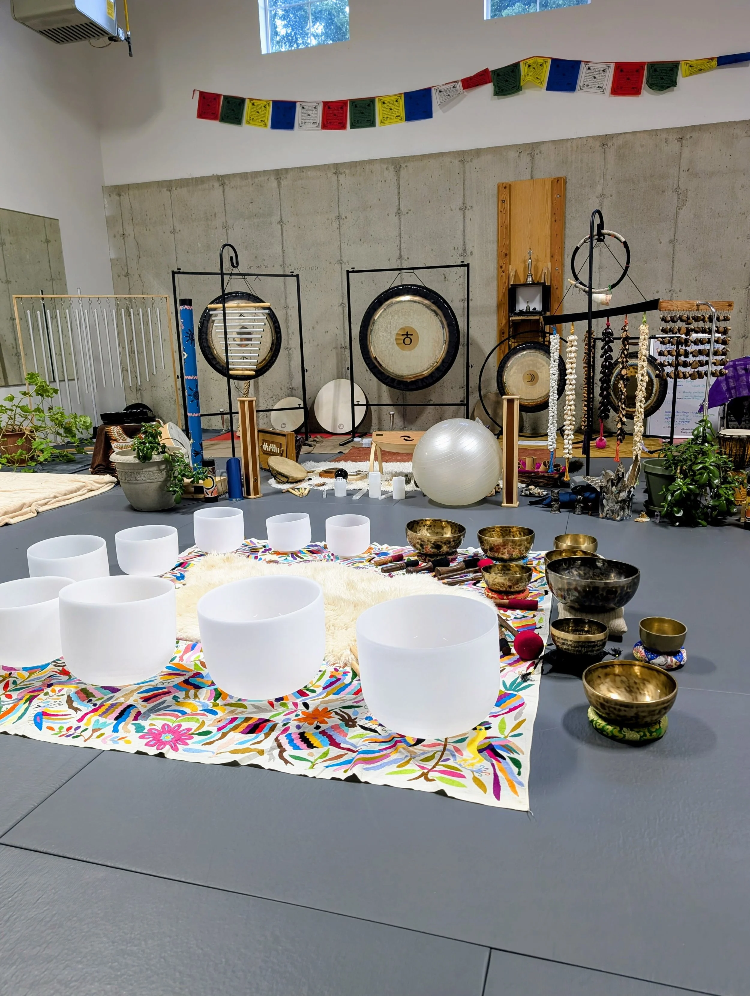 studio view 2.jpg