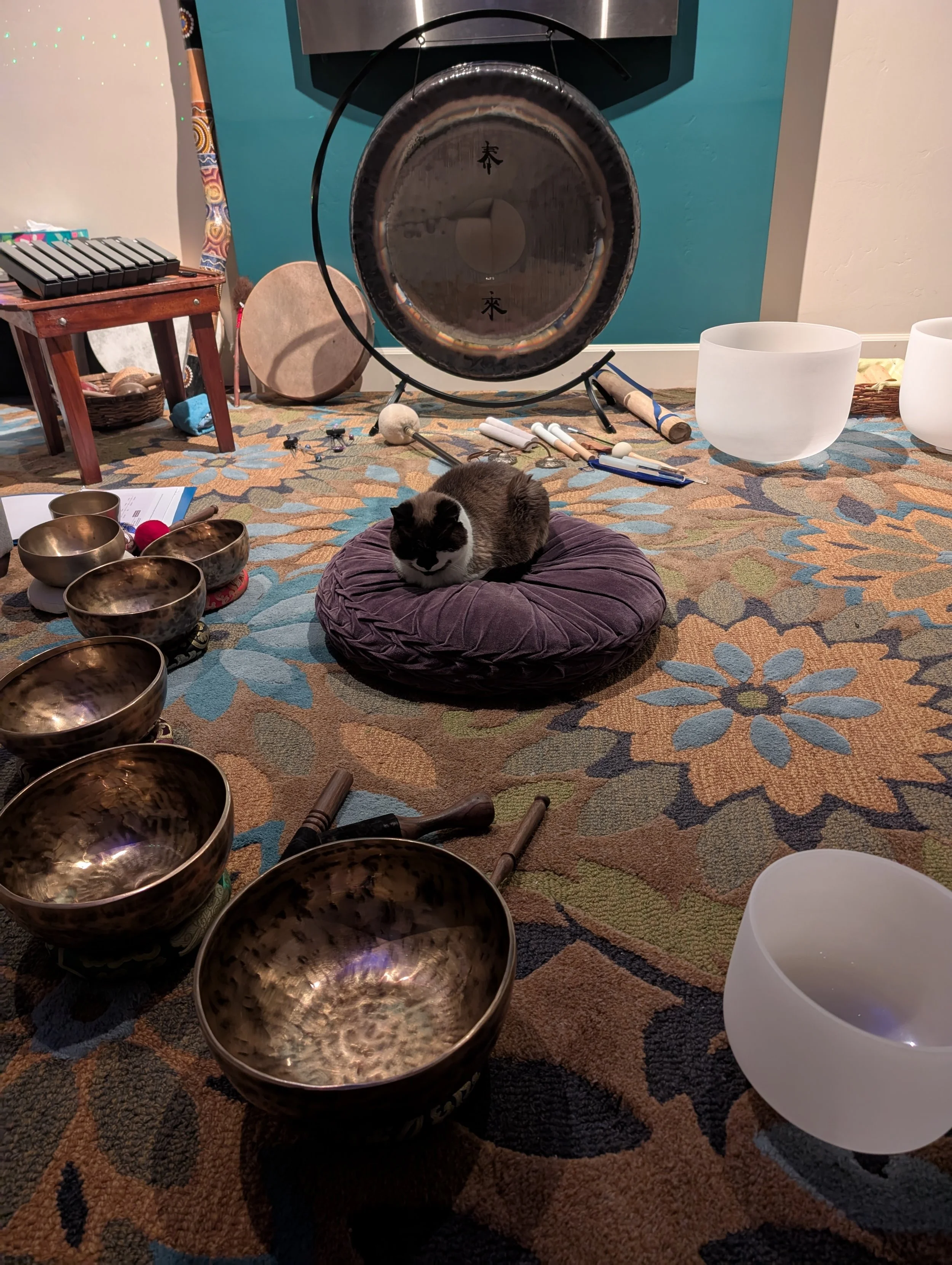 Sound bath crystal and Himalayan bowls and cat 