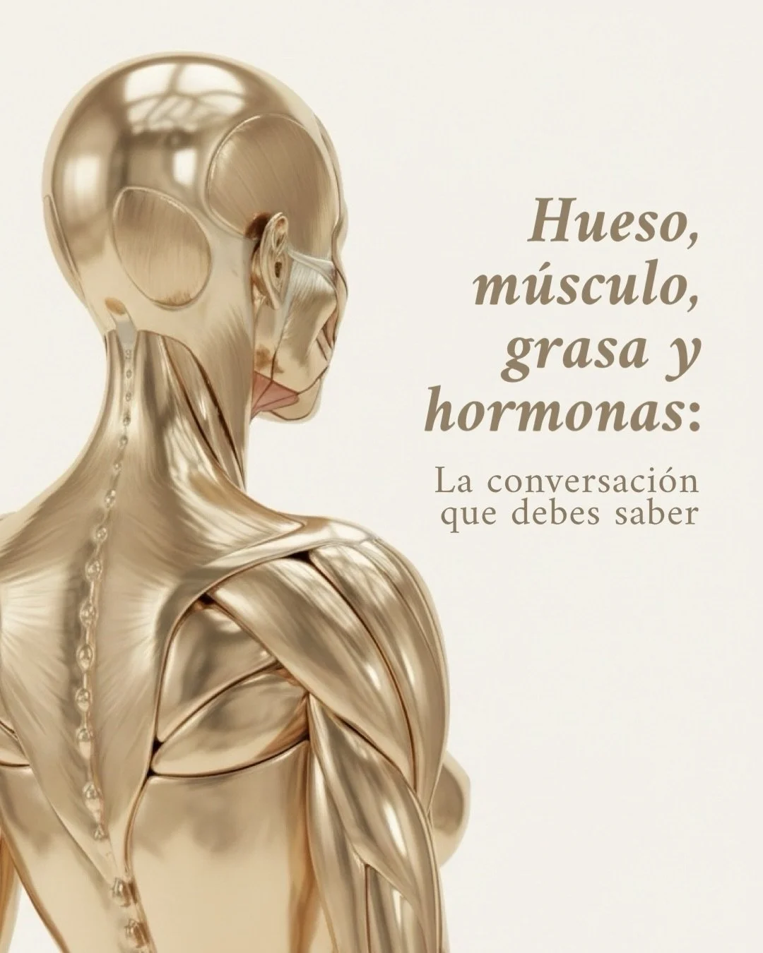 Hueso, m&uacute;sculo, grasa y hormonas influyen entre s&iacute;. ✨
En menopausia, la ca&iacute;da de estr&oacute;geno puede alterar esa red y afectar estabilidad, fuerza y composici&oacute;n corporal. Mi enfoque en medicina funcional es evaluar de f