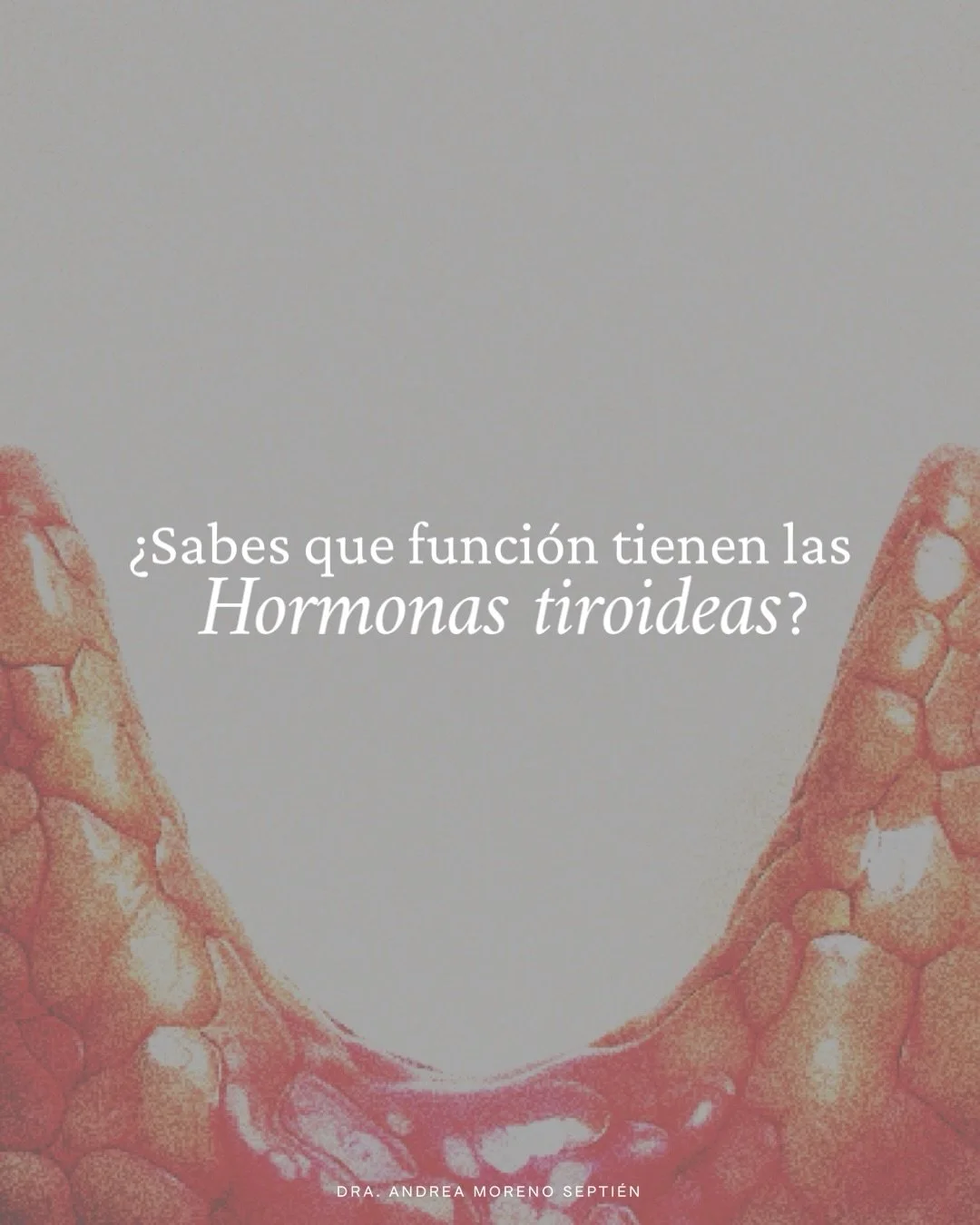 Me gusta decirles a mis pacientes que las hormonas tiroideas le dan mantenimiento a su cuerpo.👇🏻

A veces los cambios los notan cuando la memoria les falla, pierden masa muscular o les cuesta regular su temperatura corporal.✨

Por eso siempre les r