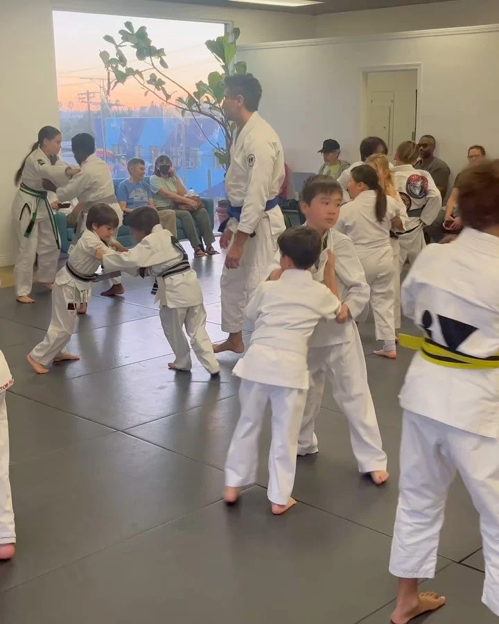 Ready for jiujitsu ?