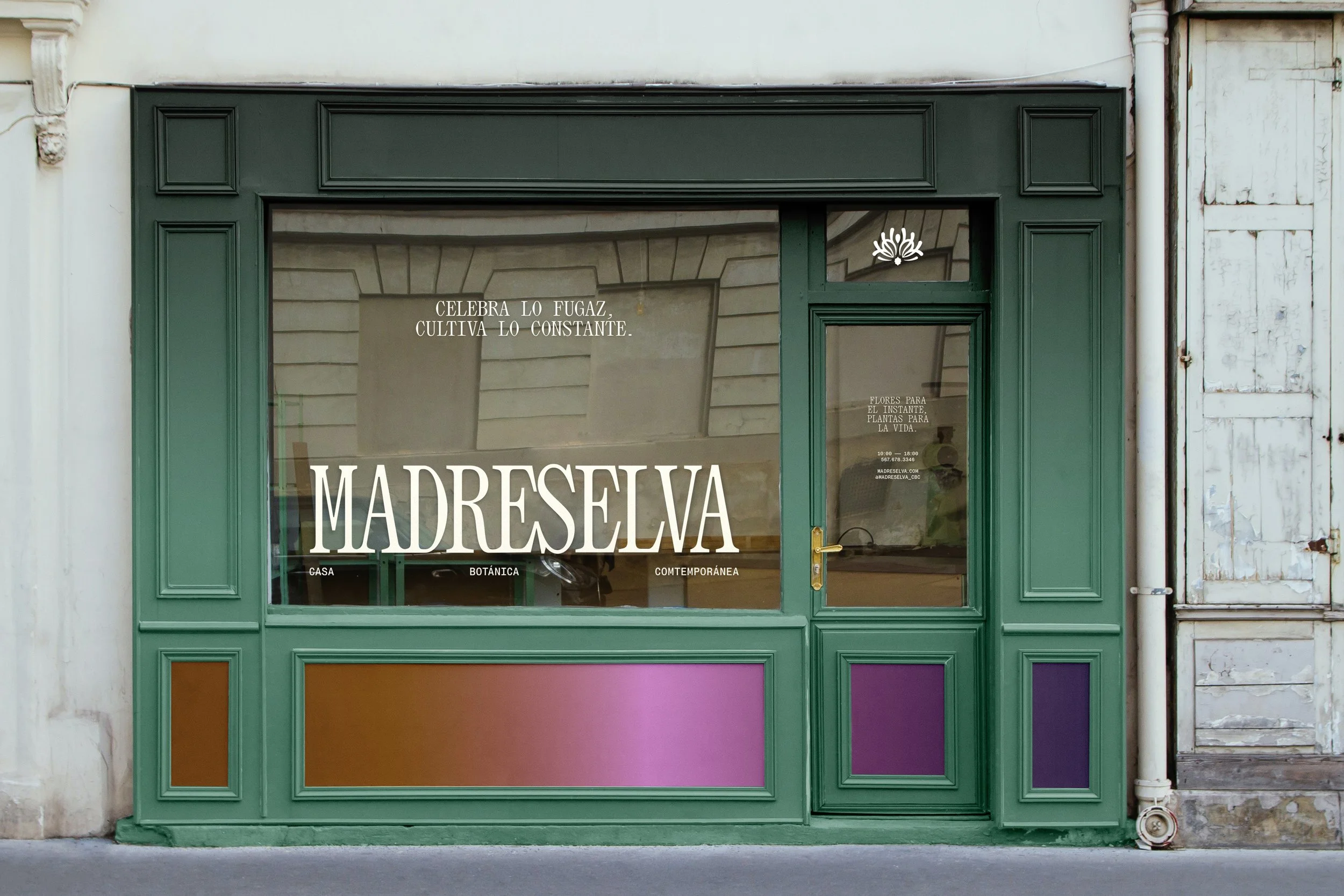 Storefront Mockup.jpg