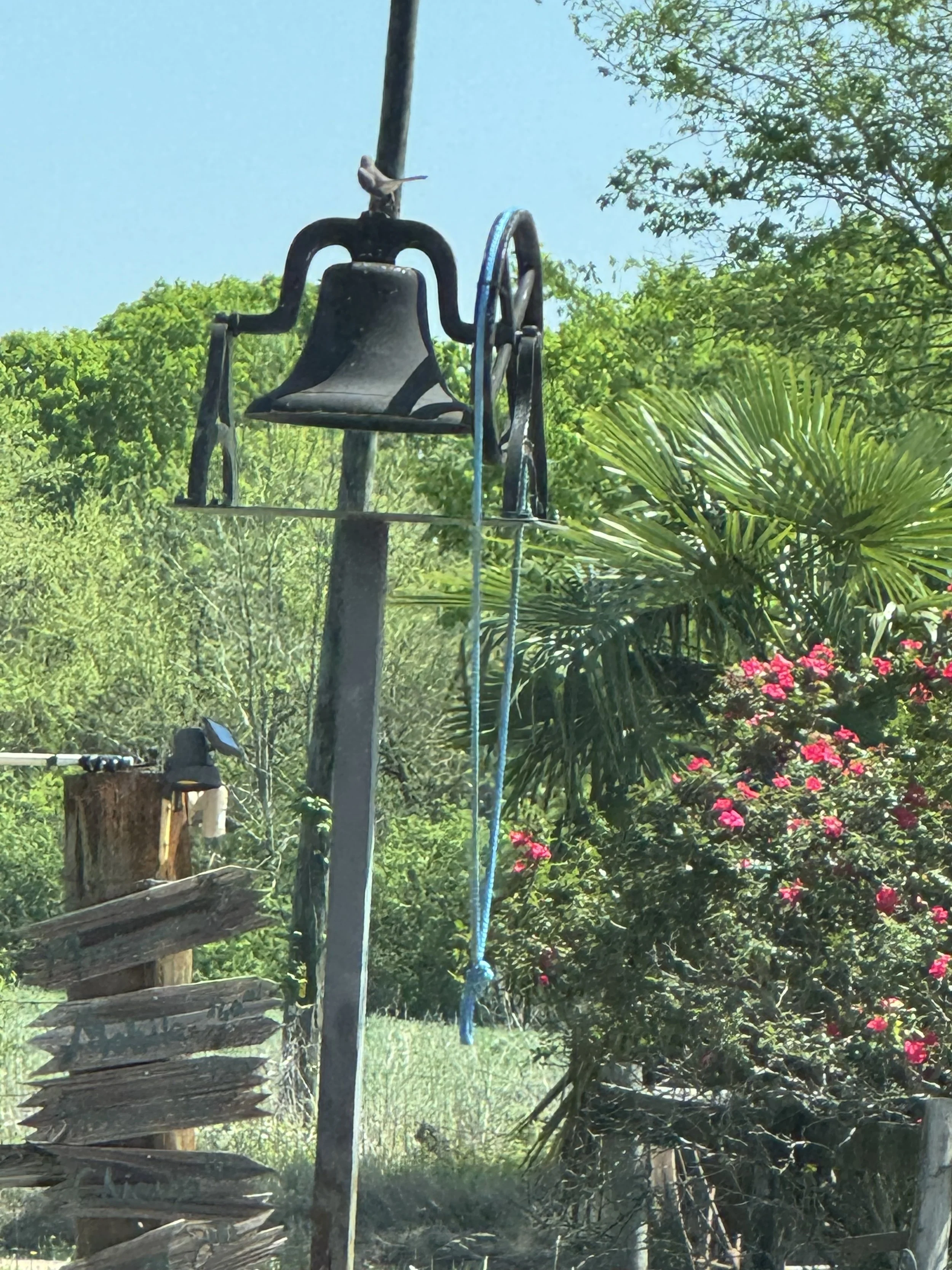 IMG_2002.jpeg