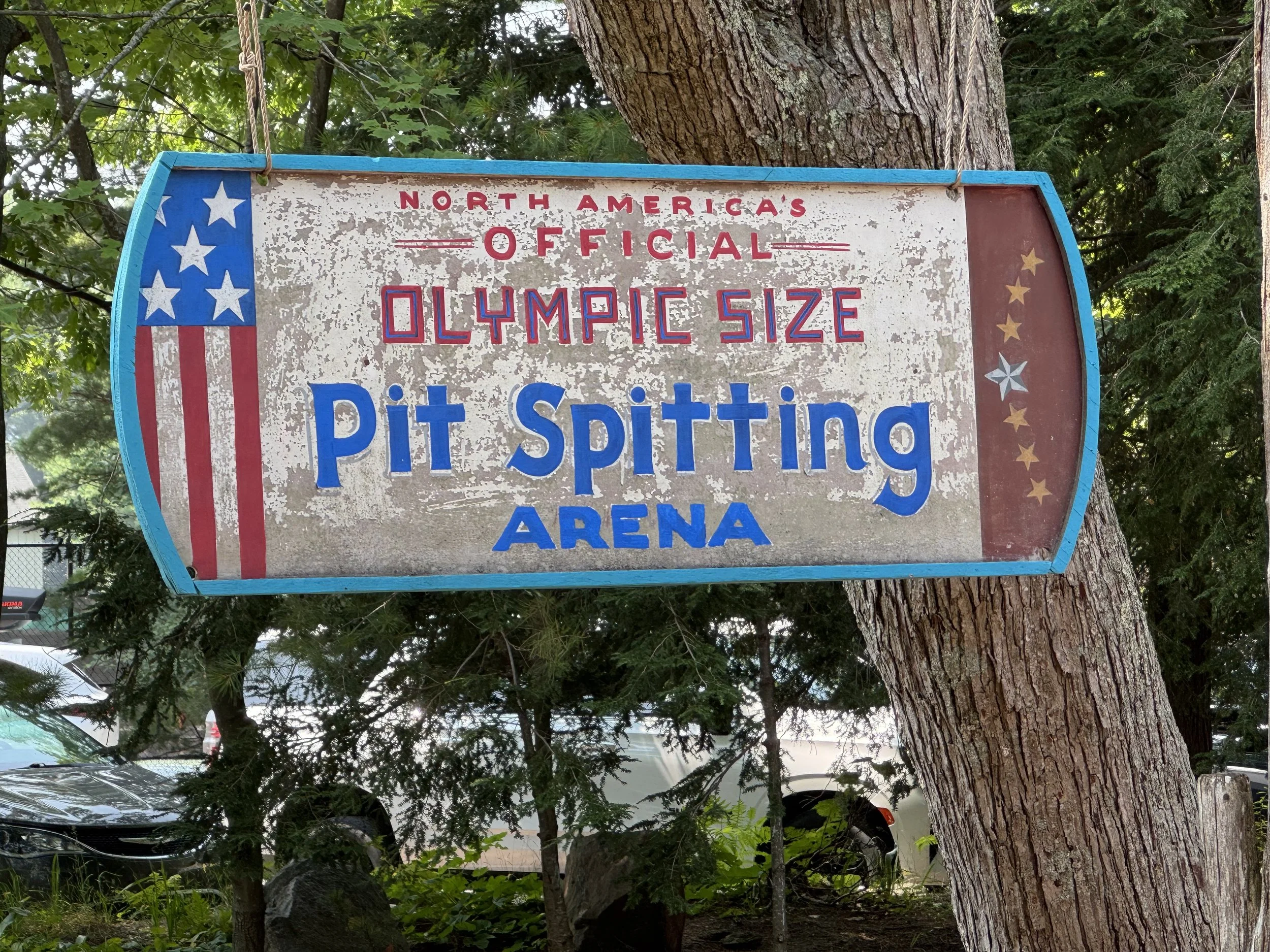 GA pit spit.jpg