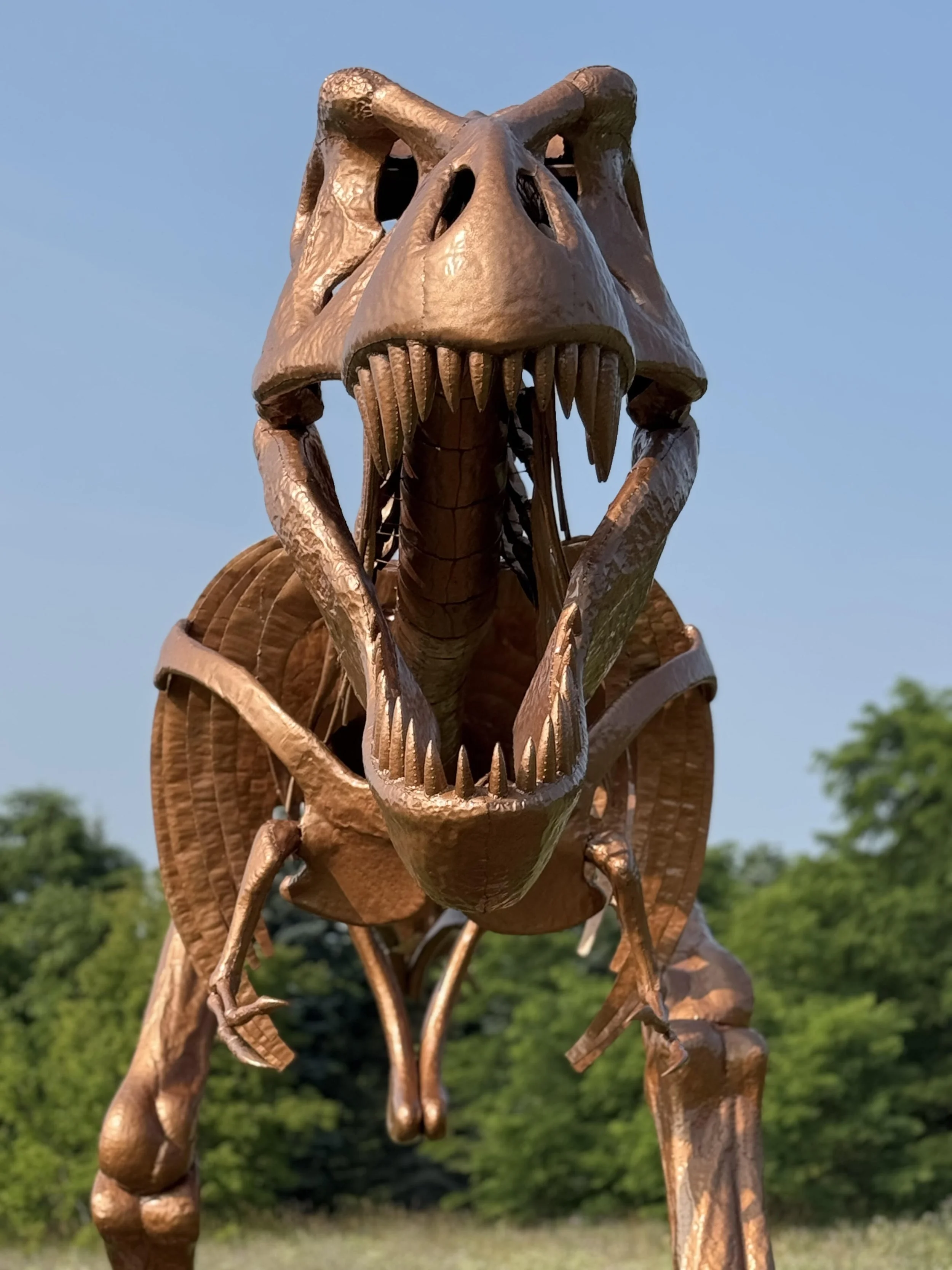 Gilbert head on.jpg
