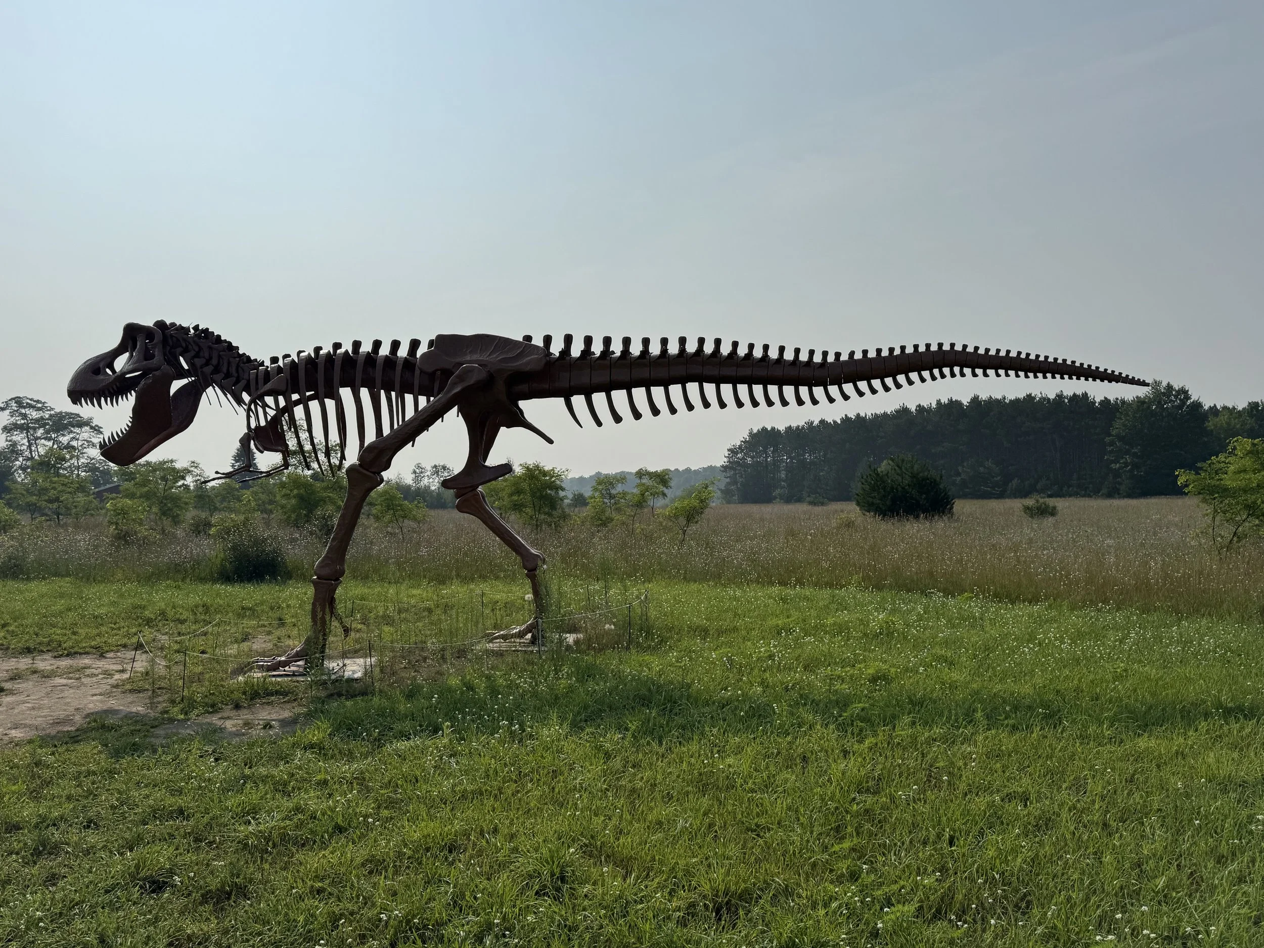 Gilbert side view.jpg