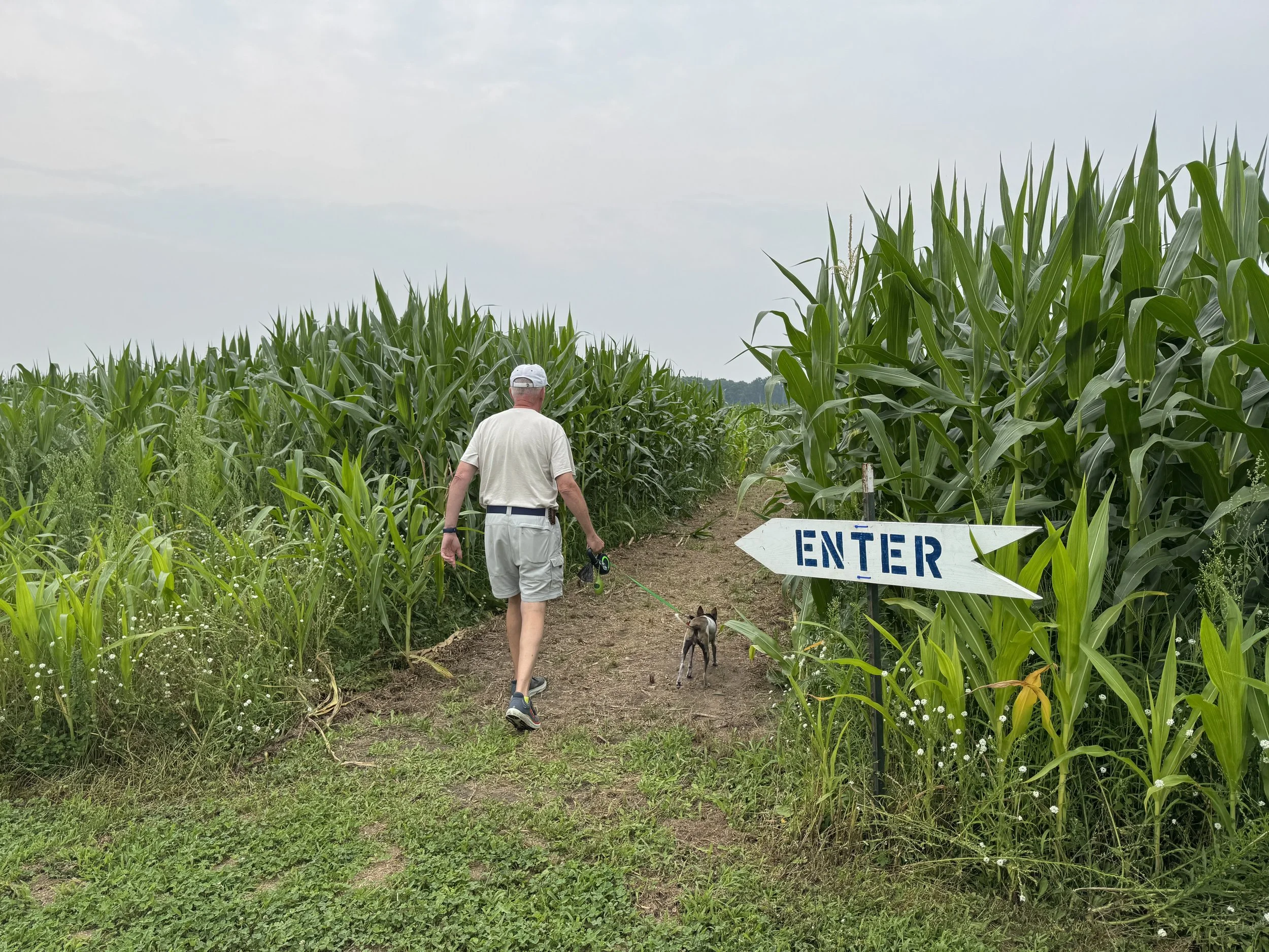 corn maze enter.jpg