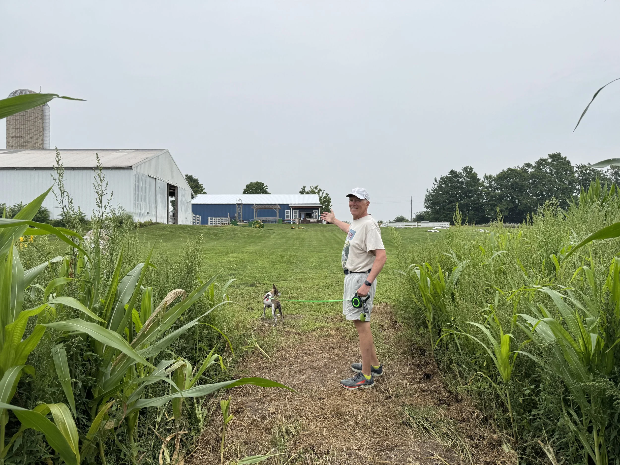 corn maze exit.jpg