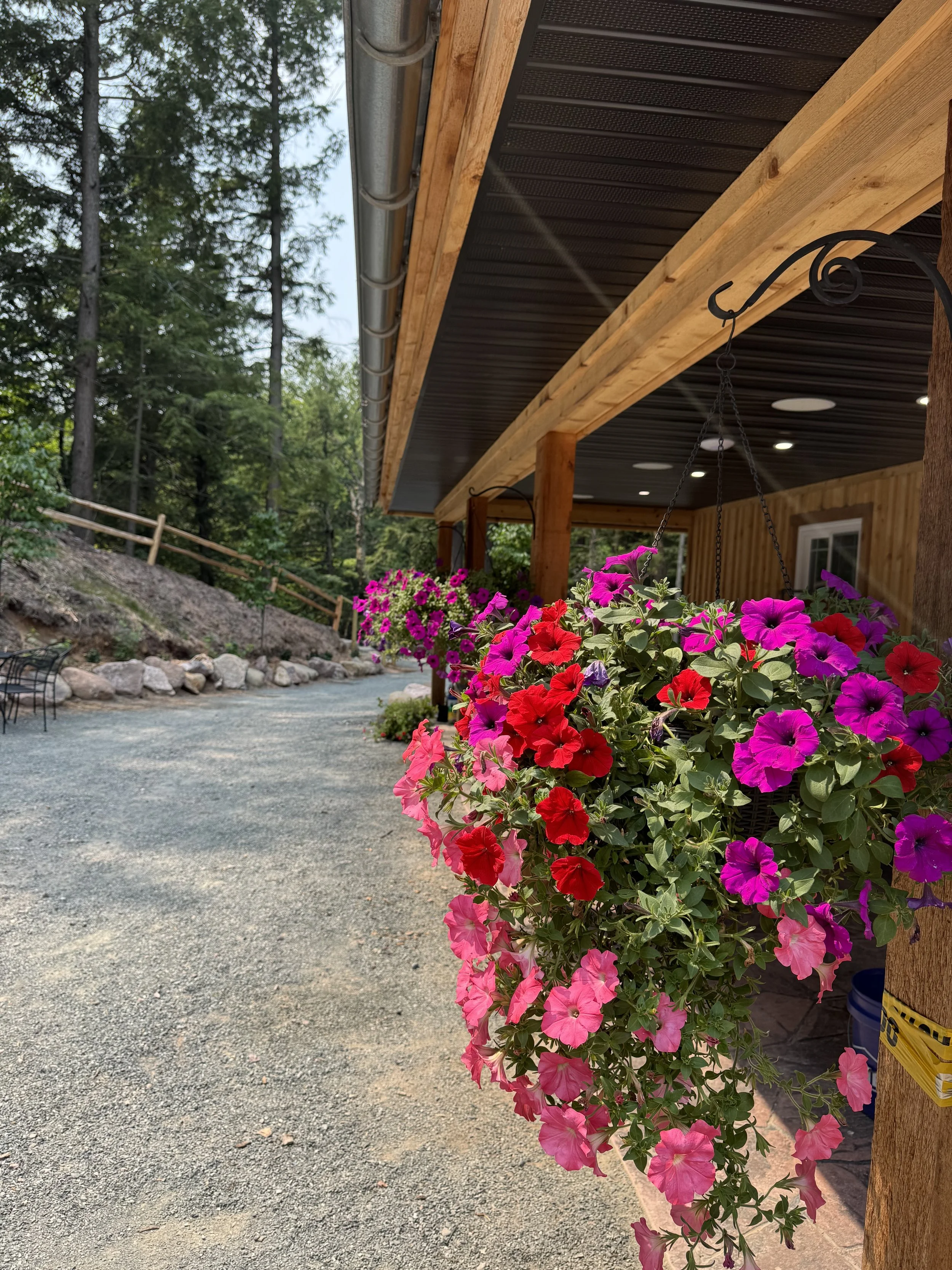flowers outside lodge.jpg