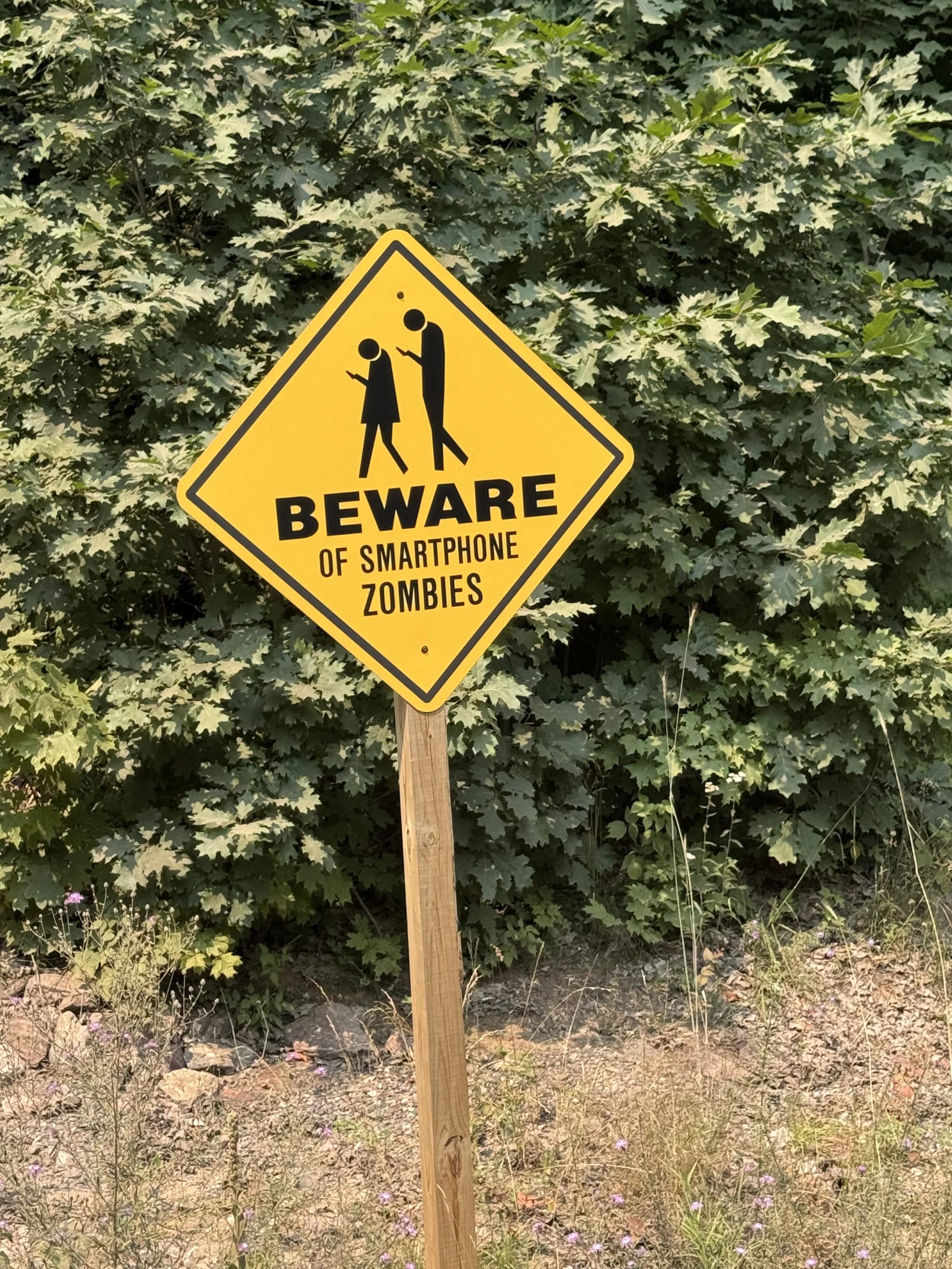 zombie sign.jpg