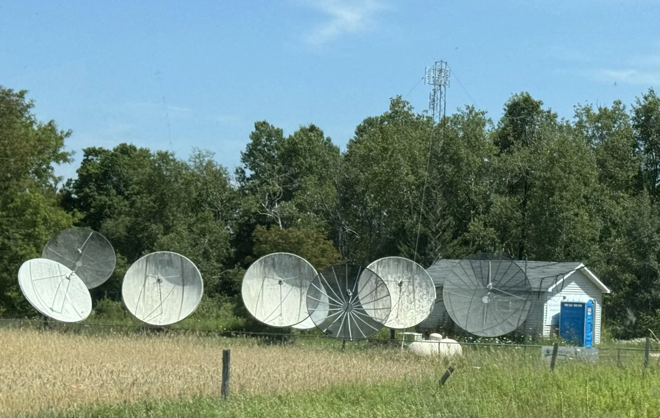 antennae.jpg