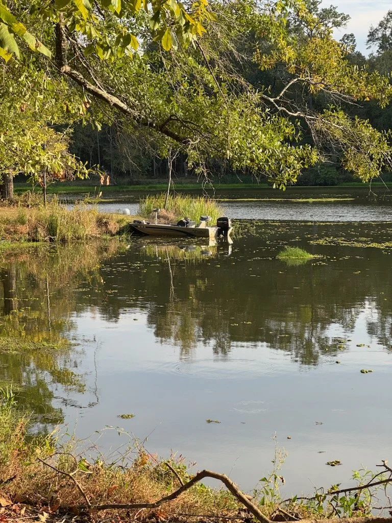 Gorgeous pond!.JPG
