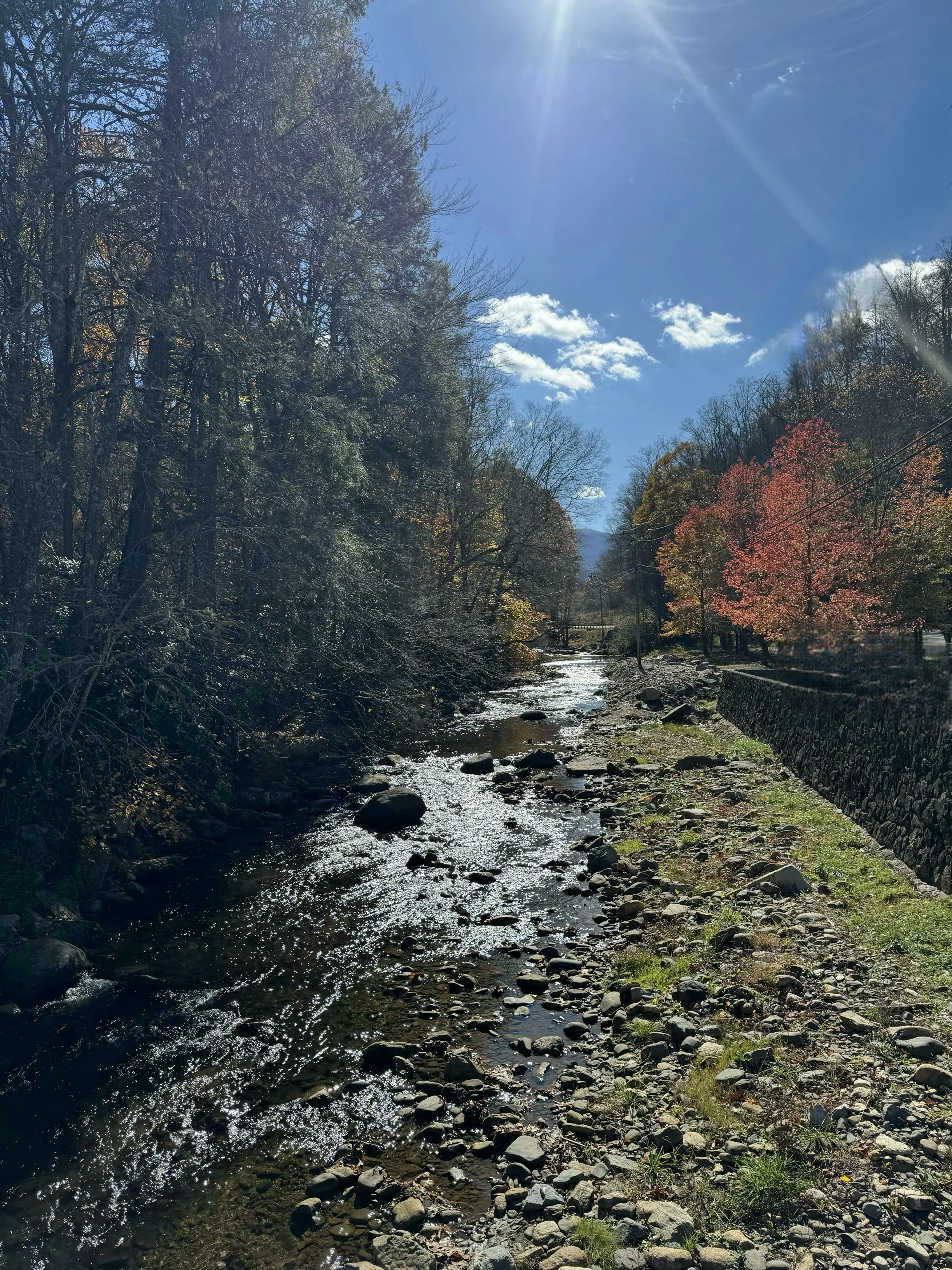 Doe River in park.jpeg