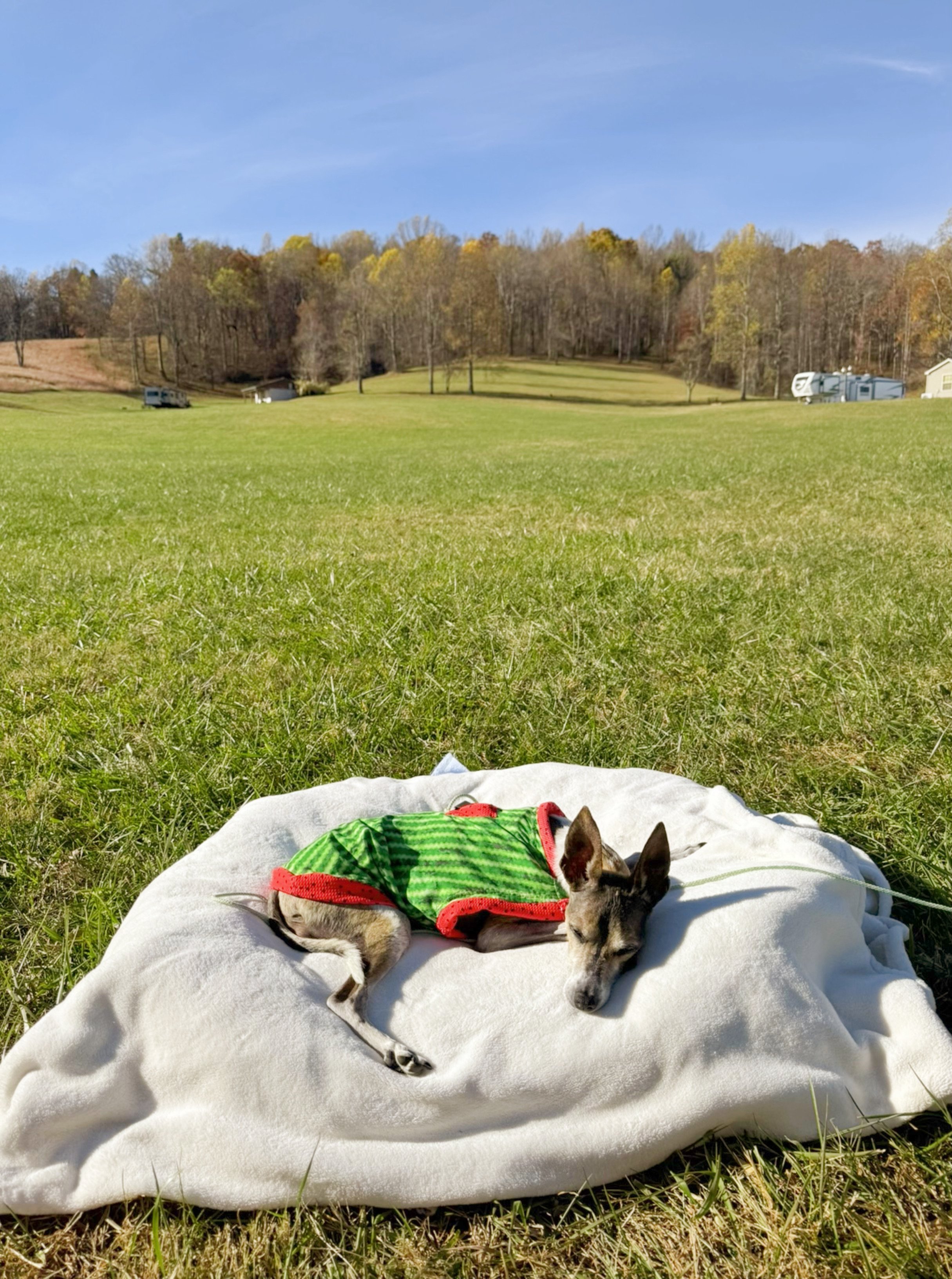 Nan sleeping in field.JPG