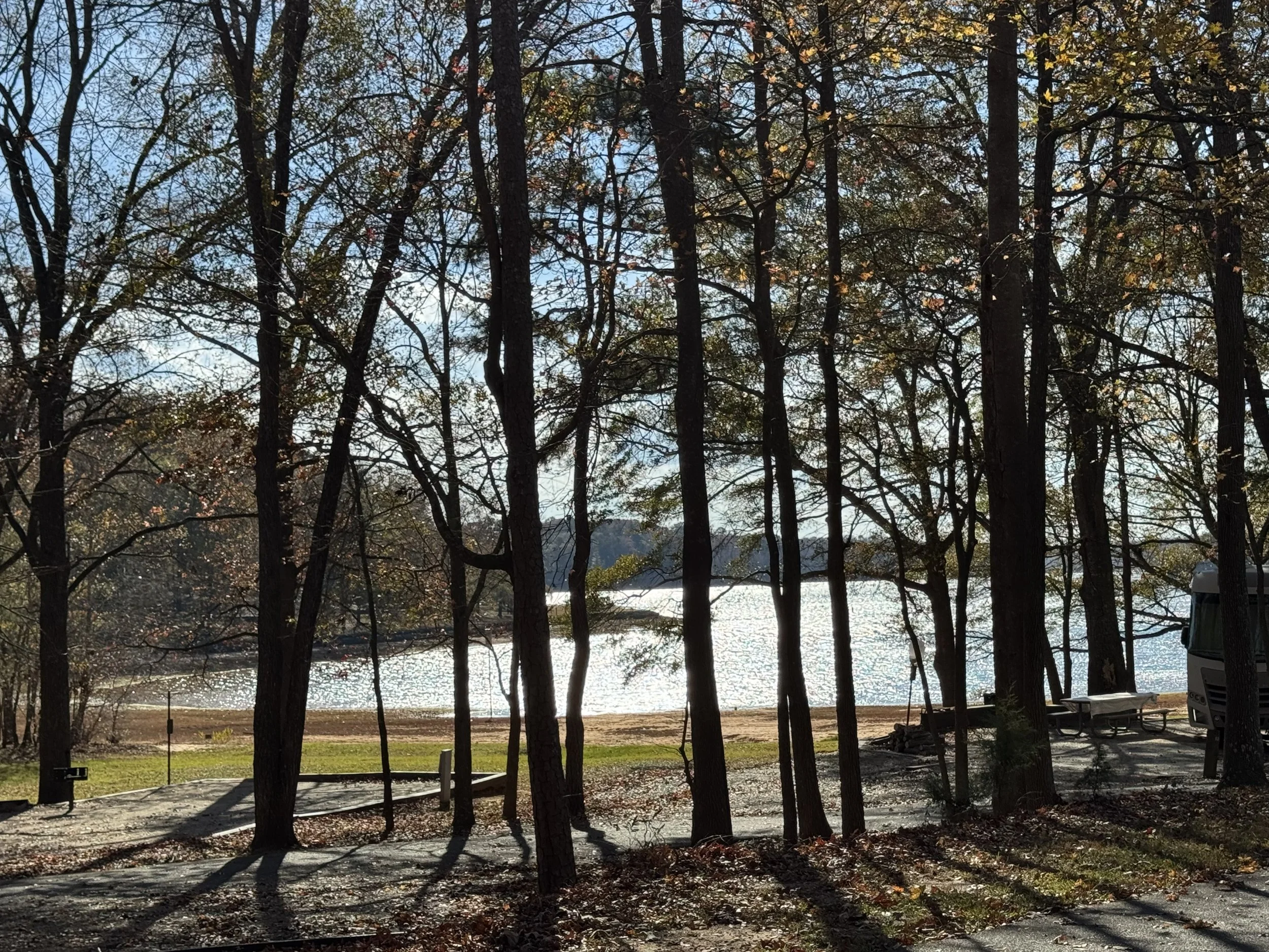Lake Hartwell 1.jpg