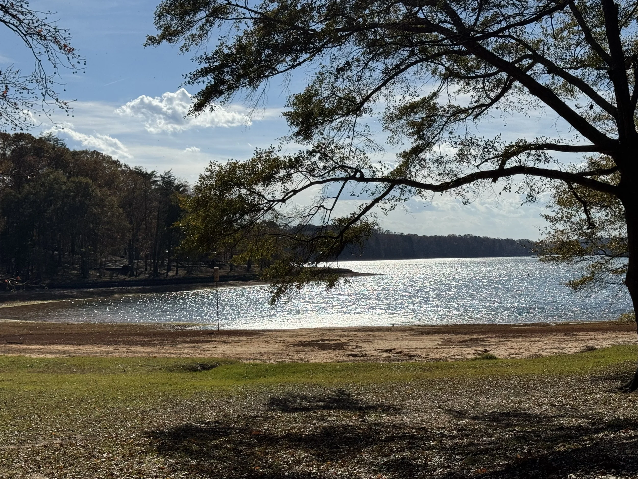 Lake Hartwell 2.jpg