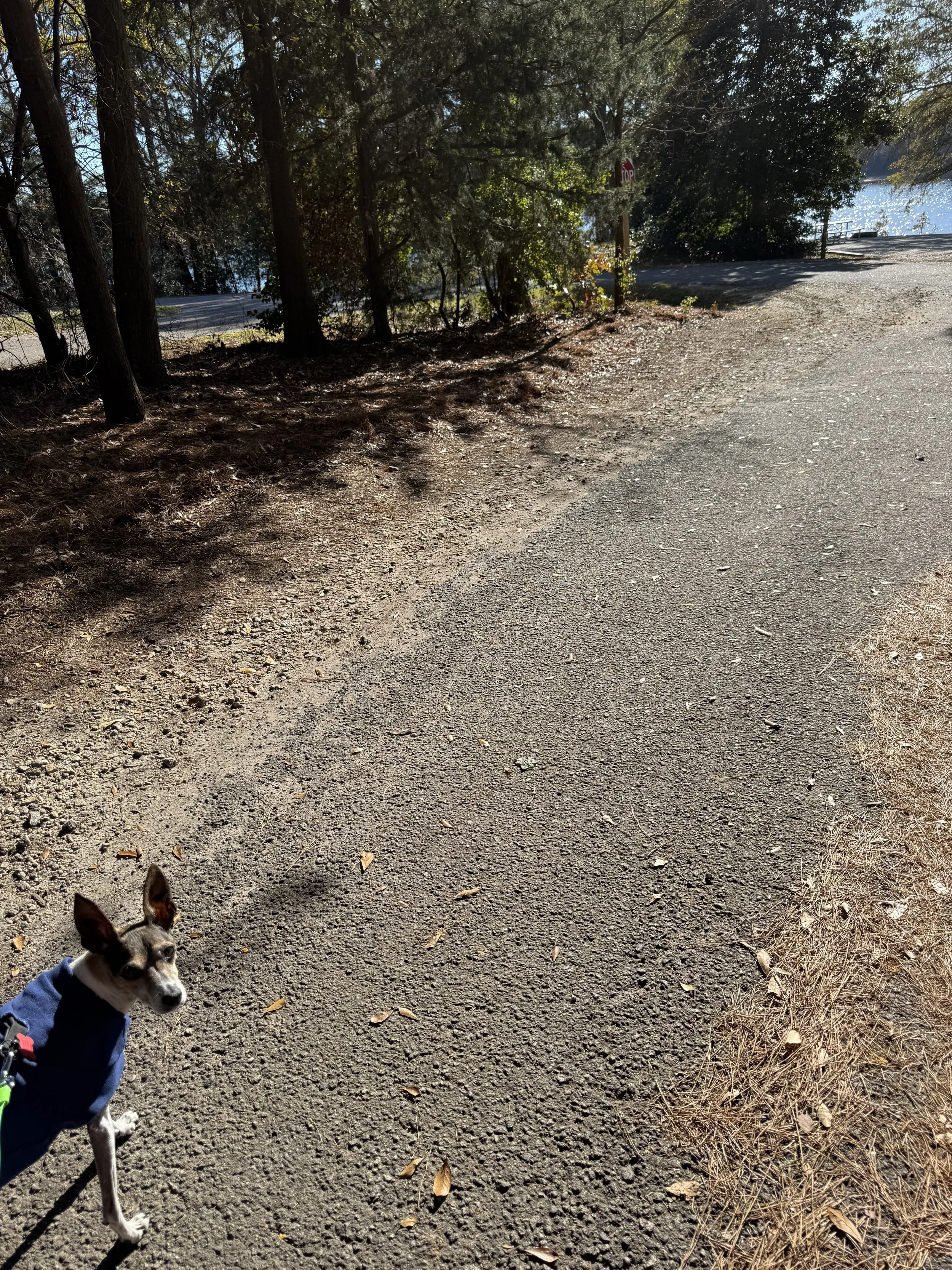 Cute Nan on walk.jpeg