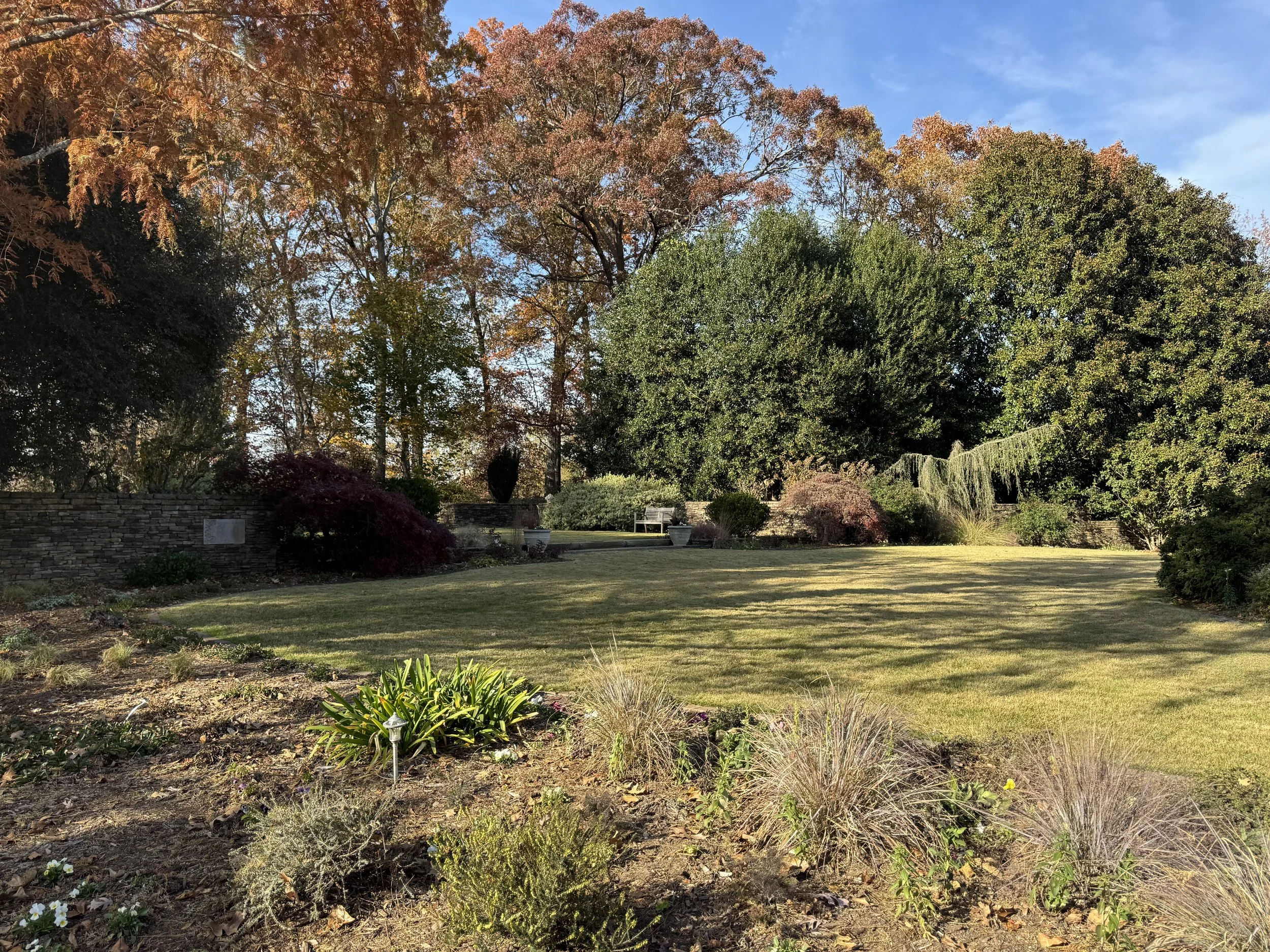 Botanical garden.jpeg