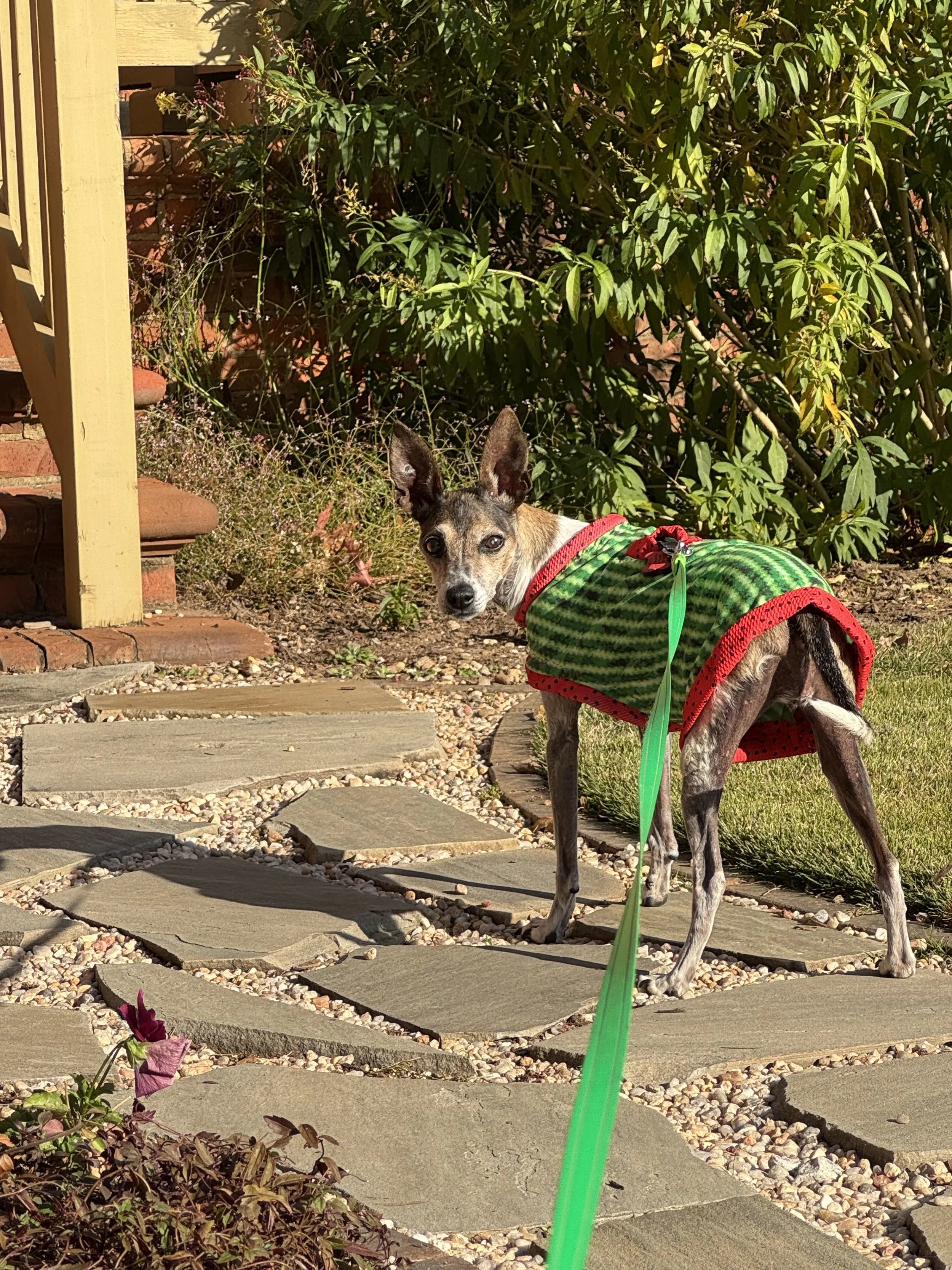 Nan on stone walkway.jpg